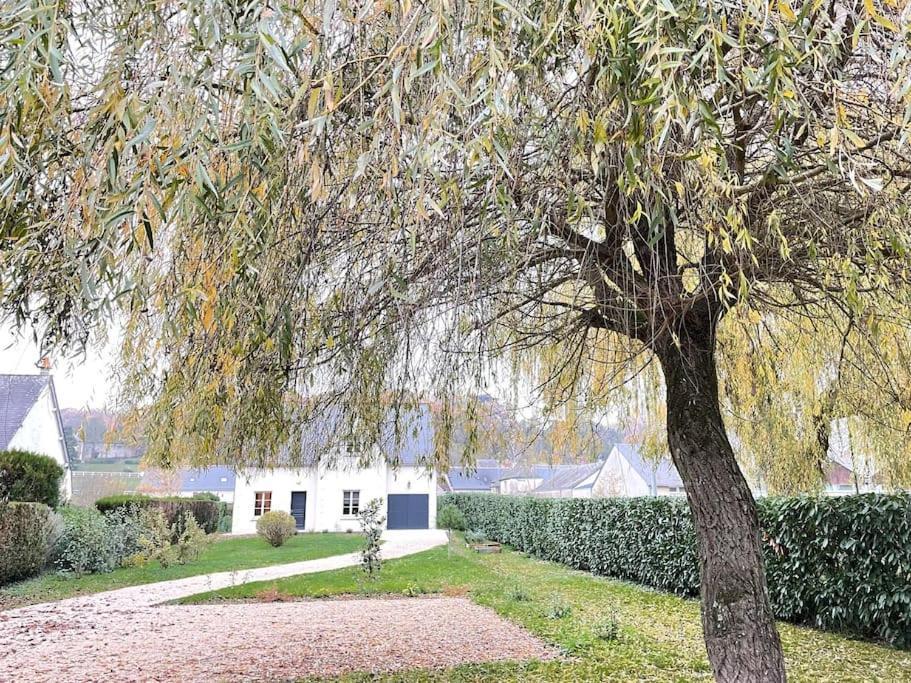 Havre De Paix Spa Proche Amboise & Chateaux De La Loire Noizay ภายนอก รูปภาพ